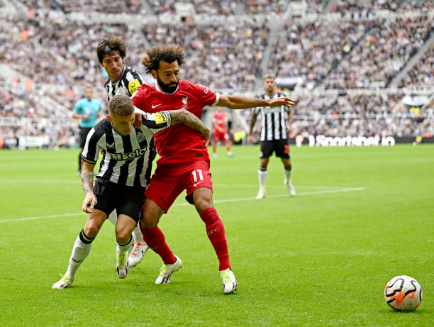 持强大的竞 持强大的竞